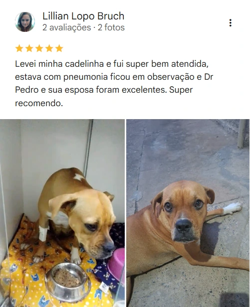 Avaliação 5 estrelas