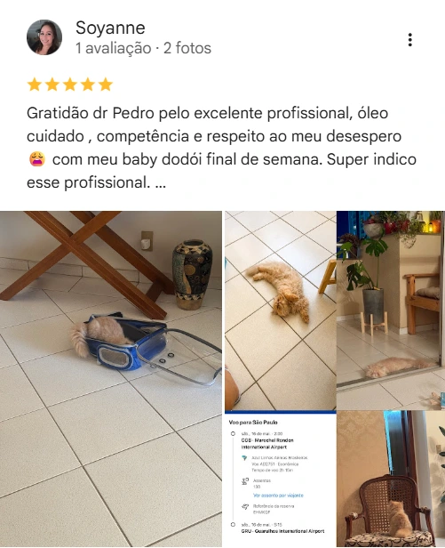 Avaliação 5 estrelas